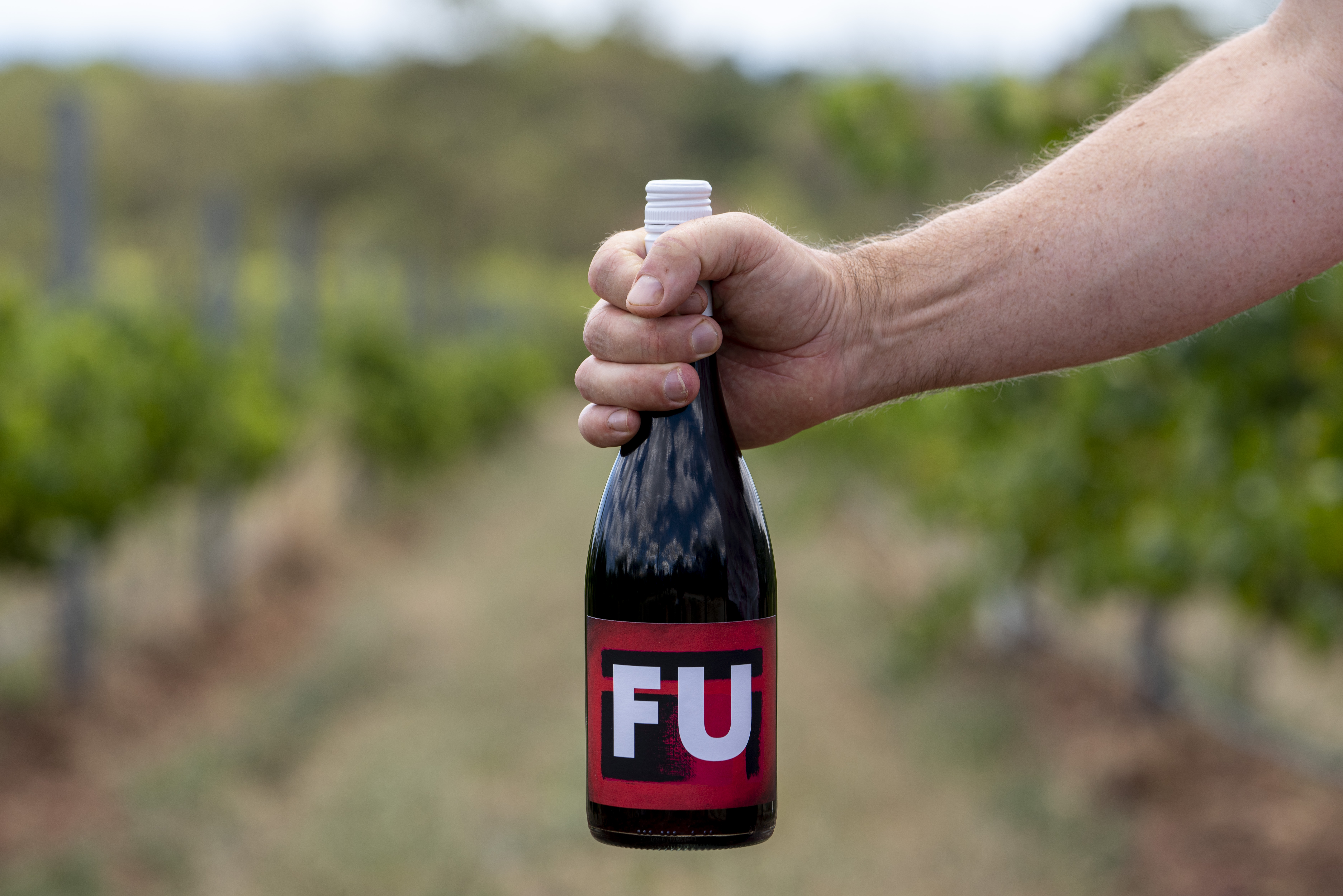 A man holding a wine bottle in the vineyard 